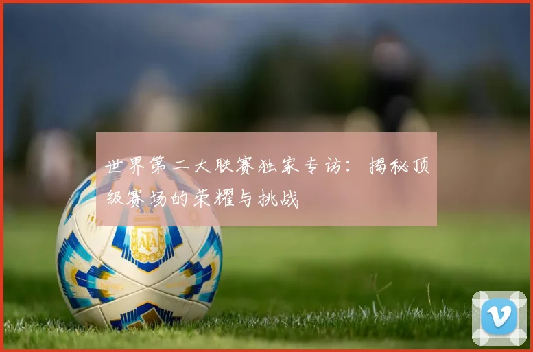世界第二大联赛独家专访：揭秘顶级赛场的荣耀与挑战