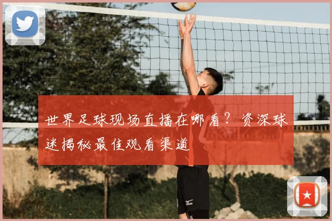 世界足球现场直播在哪看？资深球迷揭秘最佳观看渠道