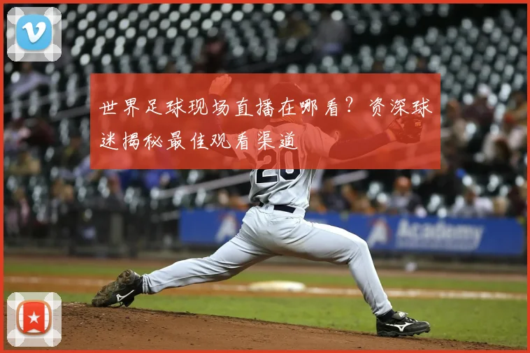 世界足球现场直播在哪看？资深球迷揭秘最佳观看渠道